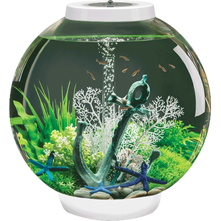 biorb大型60L欧式生态鱼缸造景家用亚克力底滤静音水族箱客厅办公