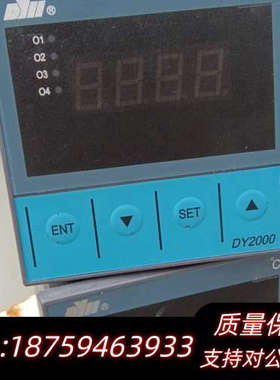 DYLL东辉大延温控器型号DY2000，.询价