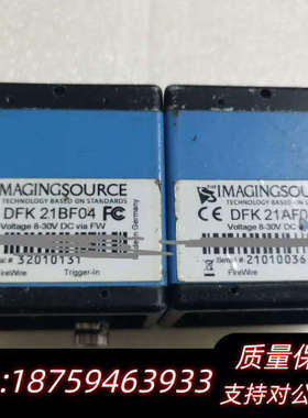 IMAGNGSOURCE映美精 DFK 21BF04 彩色询价