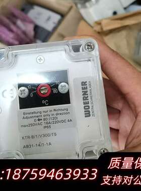 W0ERNER威纳温度传感器型号KTR-B/1/V300询价