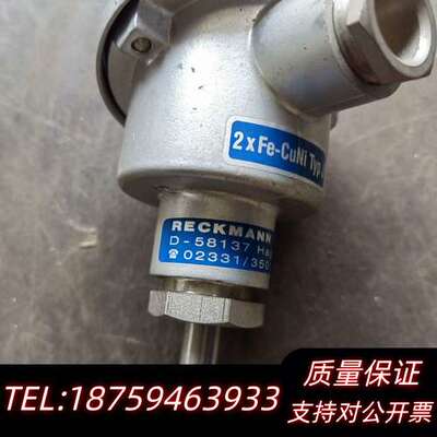 RECKMANN一GMBH温度变送器温度传感器，一体询价