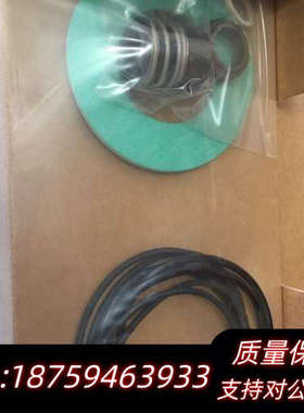 DP PUMP VF10 SEALKIT GARNITU.询价