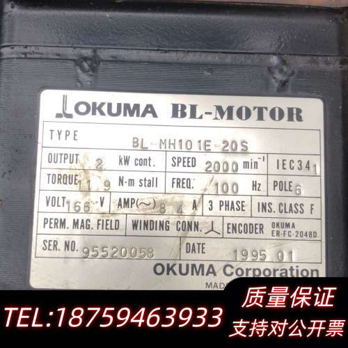 BL-MH101E-20S 大畏电机  询价