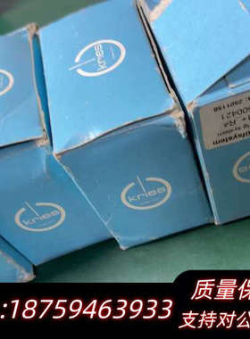 KRIES带电显示器CAPDIS-S21+R4询价