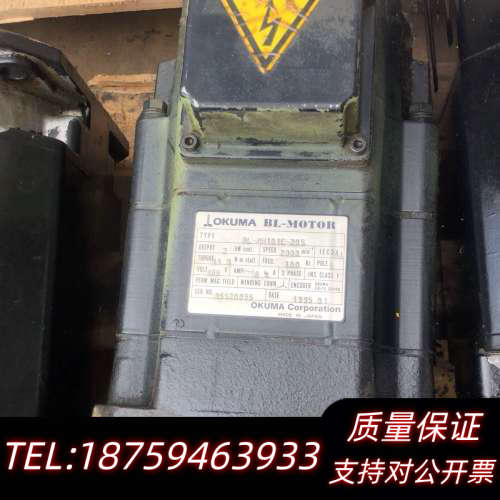 BL-MH101E-20S大畏电机   询价