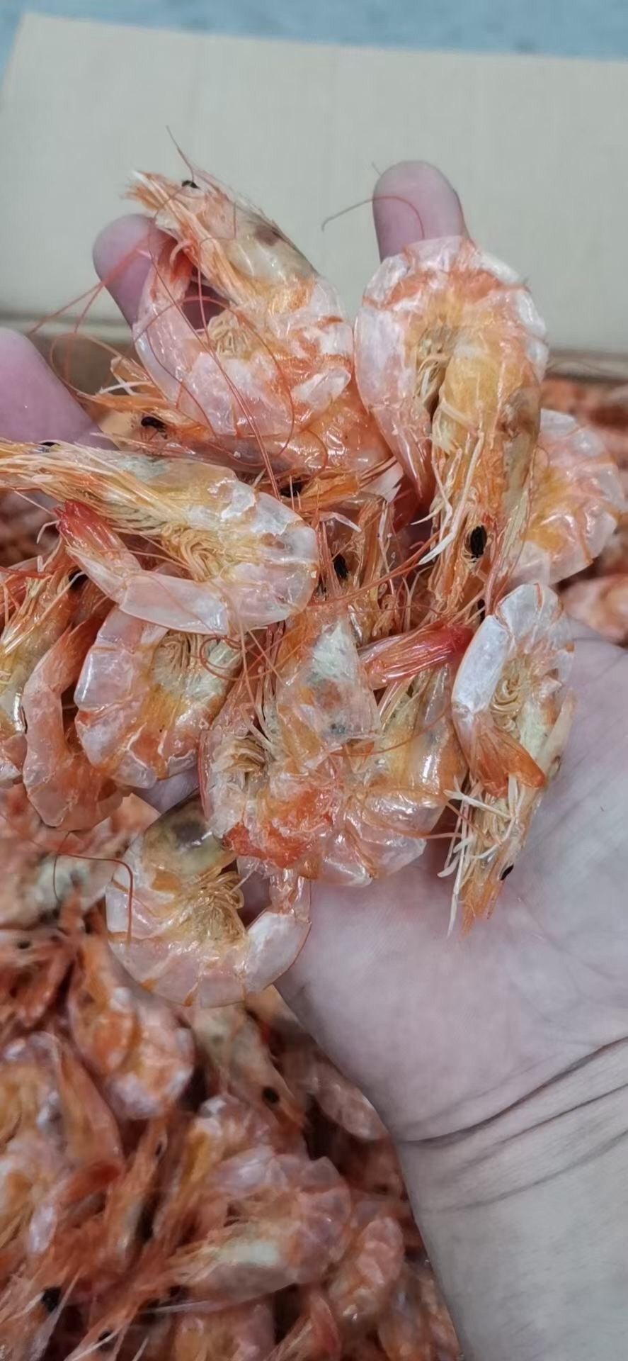 汕尾马宫特产烤虾干 即食虾休闲零食小吃下酒啤酒虾 淡鲜甜500g