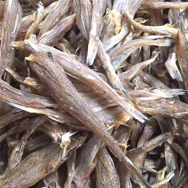汕尾马宫本港野生海鸥丁【中】 海乌咸鱼干 沙丁小鱼干 干货500g