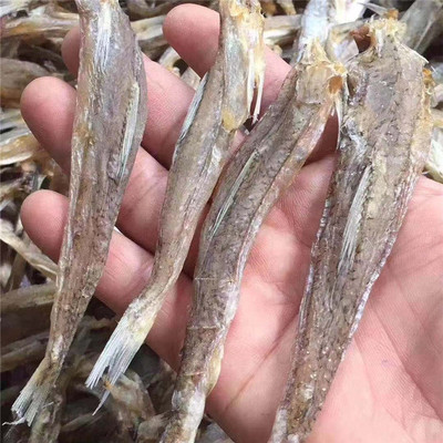 汕尾马宫 野生海鸥丁海鱼【小】 沙丁小鱼干 海乌丁咸鱼干货500g