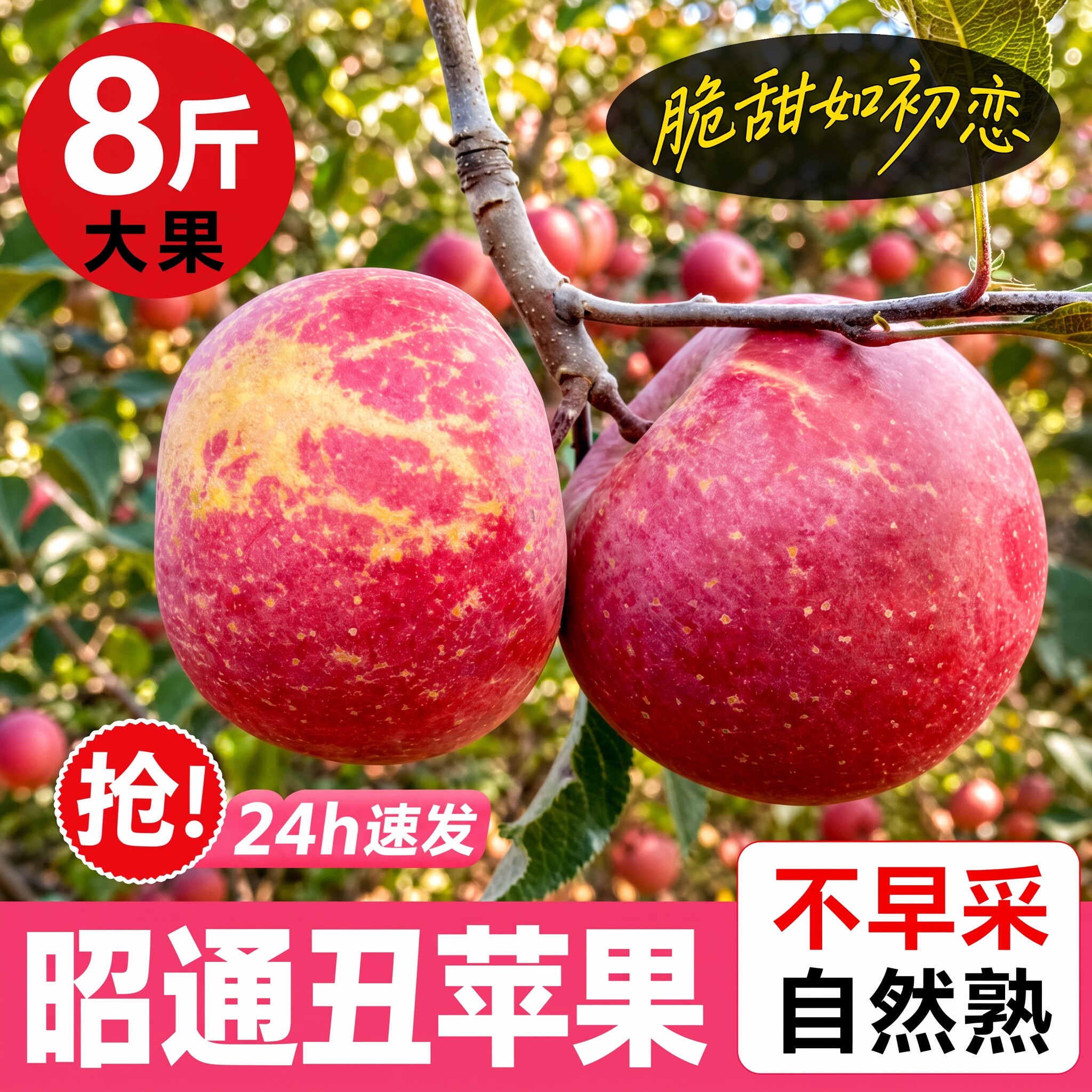 云南昭通丑苹果当季新鲜水果图片