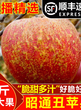 【直播福利】精品特大果9斤云南昭通冰糖心丑苹果当季新鲜水果