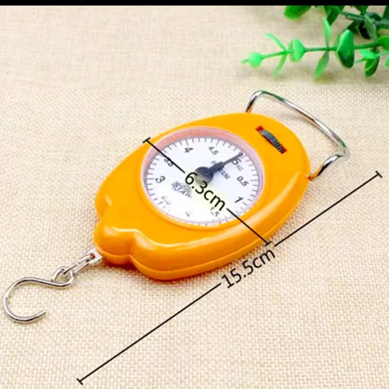 智能秤迷你手提称家用便携学生买菜电子弹簧吊秤拉力测量神器实用