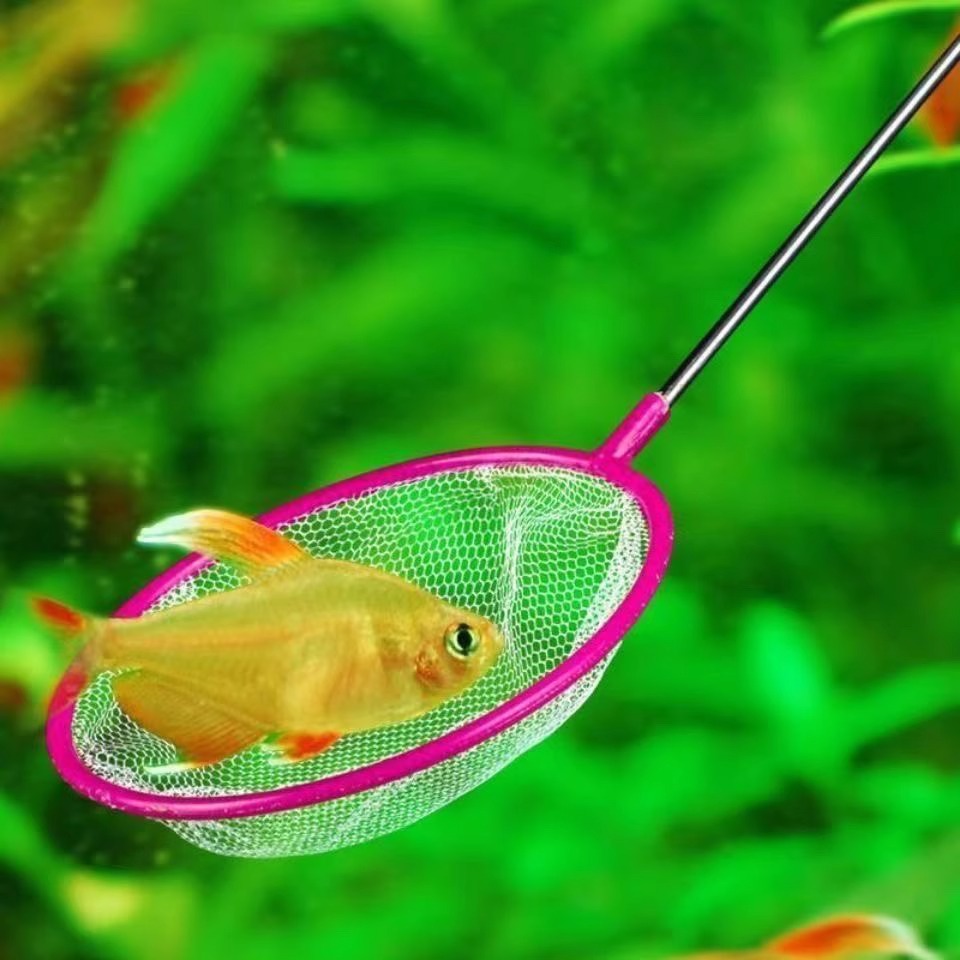 鱼缸捞鱼网水族箱用品大全小渔捞