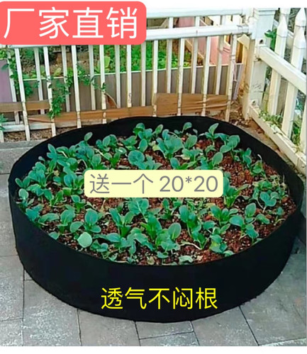 楼顶种菜盘种植袋无纺布花盆特大
