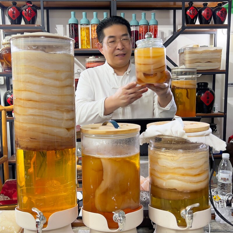 支先生三年红茶菌老菌4斤装