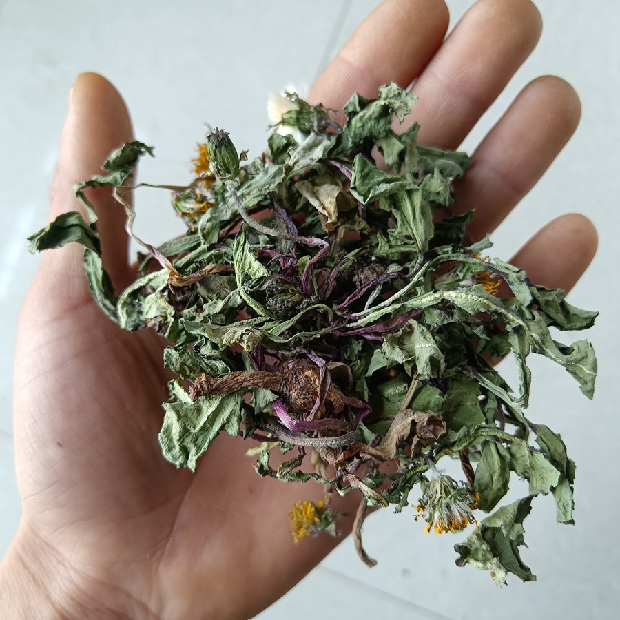 野生蒲公英整棵带根农家自采晒干新货花草泡茶正品无添加全草500g