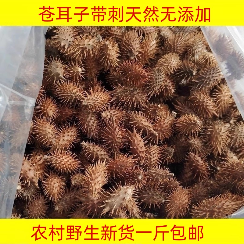 苍耳子500g野生新货天然无添加带刺毛苍子熬水泡脚苍耳成熟中药材 传统滋补营养品 其他药食同源食品 原图主图