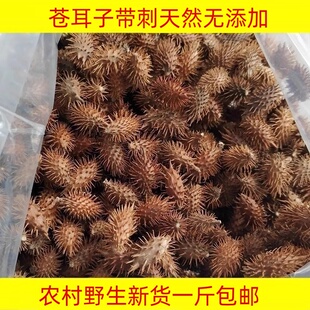 苍耳子500g野生新货天然无添加带刺毛苍子熬水泡脚苍耳成熟中药材