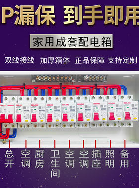 2P漏保家用配电箱接线成品