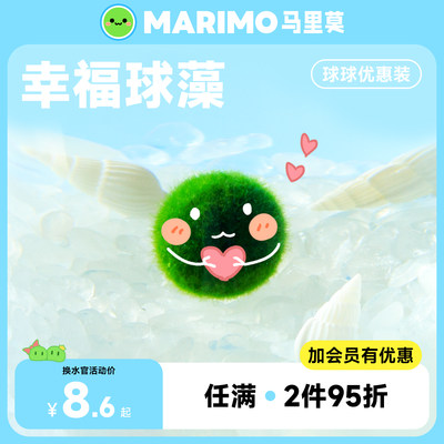 Marimo马里莫 幸福球藻 特别可爱水培海藻球炸毛球藻君好养绿植物