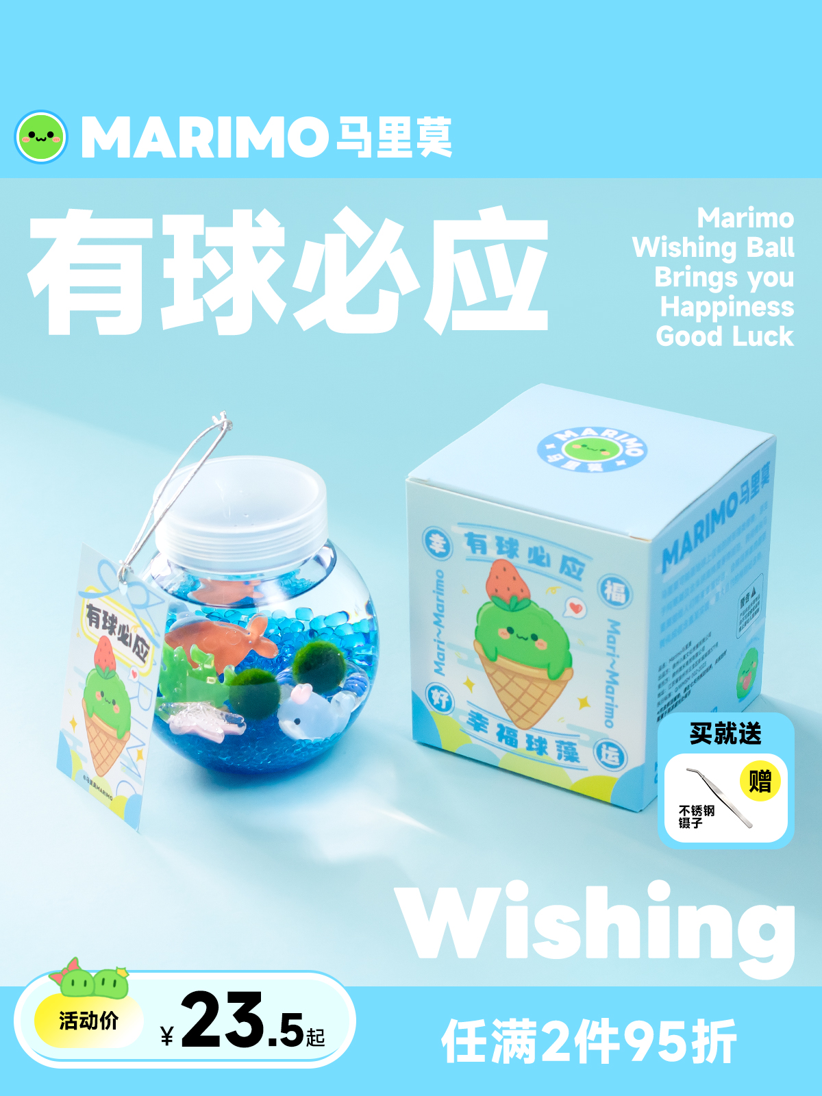 Marimo马里莫 有球必应 微景观海藻球藻冬季植物水培大巨球生态瓶