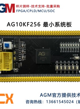 AGM FPGA AG10KF256 国产替代 EP4CE10F17 EP3C10F256 芯片开发板