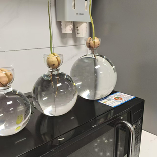 牛油果水养瓶子牛油果水培玻璃瓶牛油果核种子水培器皿催芽养殖瓶