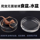爬虫专用喂食盆水盆透明玻璃水晶虾喂食盆观赏宠物粮盆喂食器 包邮