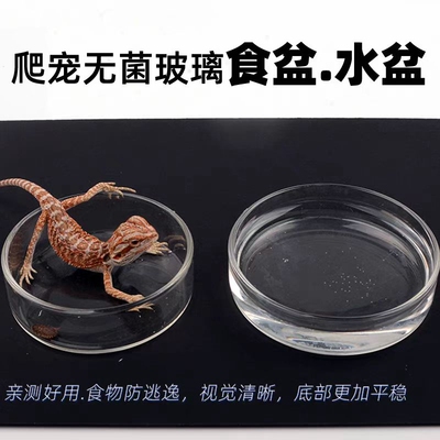 爬虫专用喂食盆水盆透明玻璃