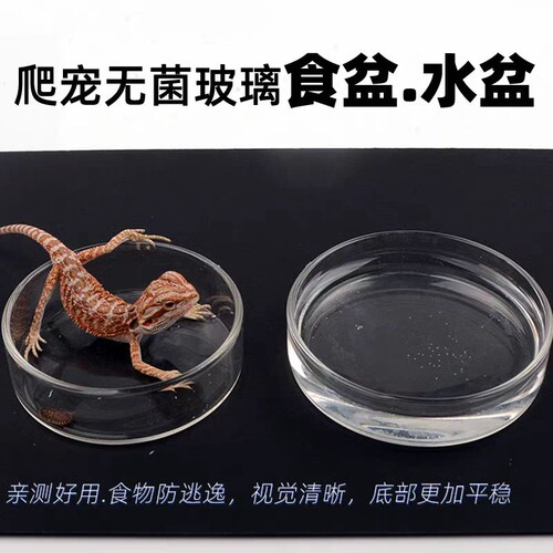 爬虫专用喂食盆水盆透明玻璃