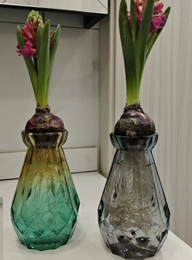 风信子水培花瓶彩色玻璃