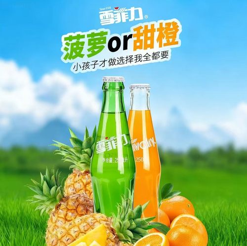 齐齐哈尔雪菲力汽水菠萝碳酸饮料