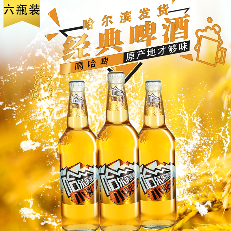 哈尔滨啤酒原产地小麦王哈啤六瓶