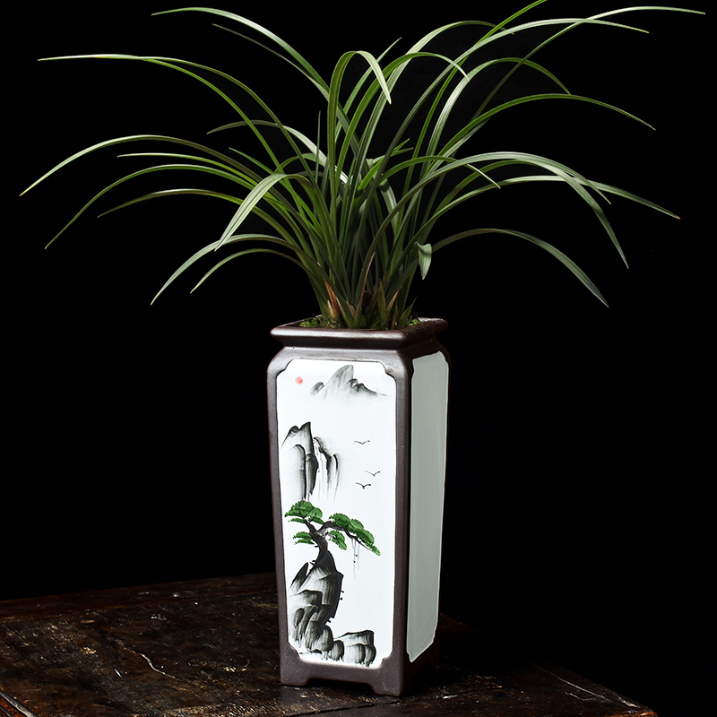 四方陶瓷兰花专用花盆紫砂中式