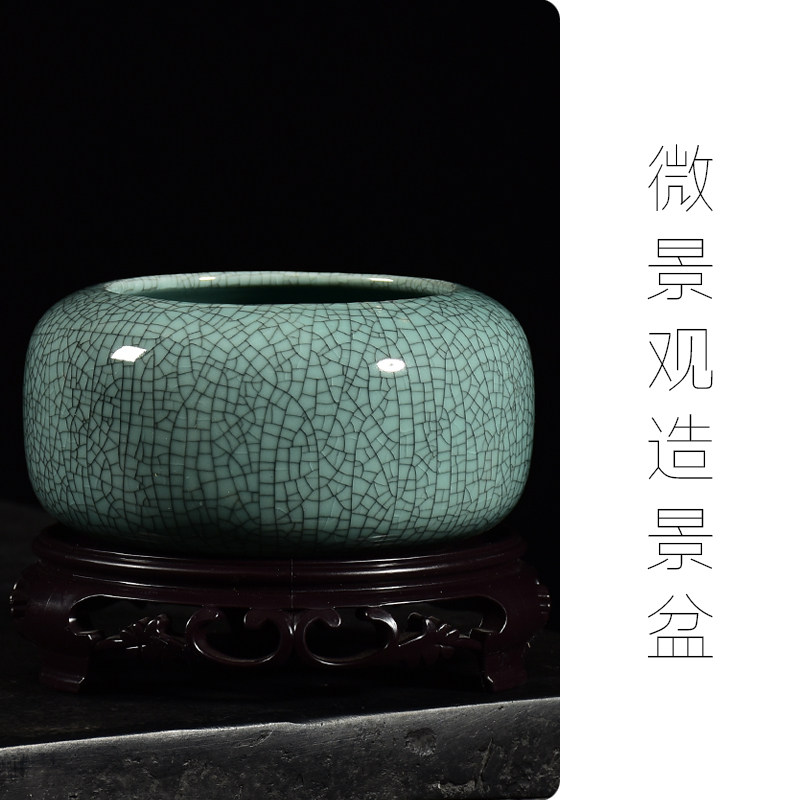 文竹微景观盆造景花盆陶瓷小号圆形桌面室内绿植盆栽吊兰多肉植物