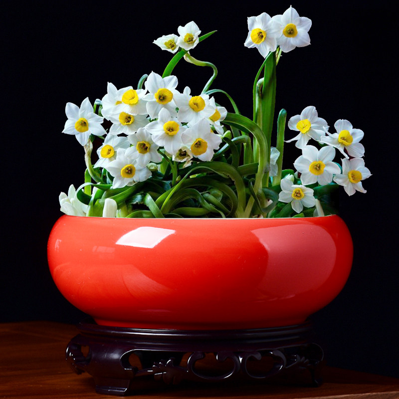 水培铜钱草水仙花盆陶瓷大口径水养植物碗莲一叶莲金钱草专用花器,鲜花速递/花卉仿真/绿植园艺,花盆,淘宝优惠券,粉丝福利购,淘宝优惠卷