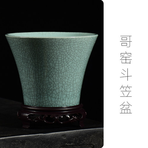 斗笠花盆陶瓷蝴蝶兰专用家用室内