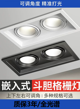 LED嵌入式格栅灯开孔100x200mm可调角度办公室斗胆灯天花铝材射灯