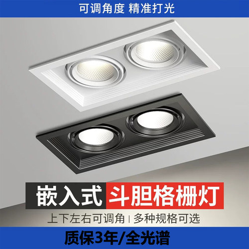 LED嵌入式可调角度格栅灯射灯