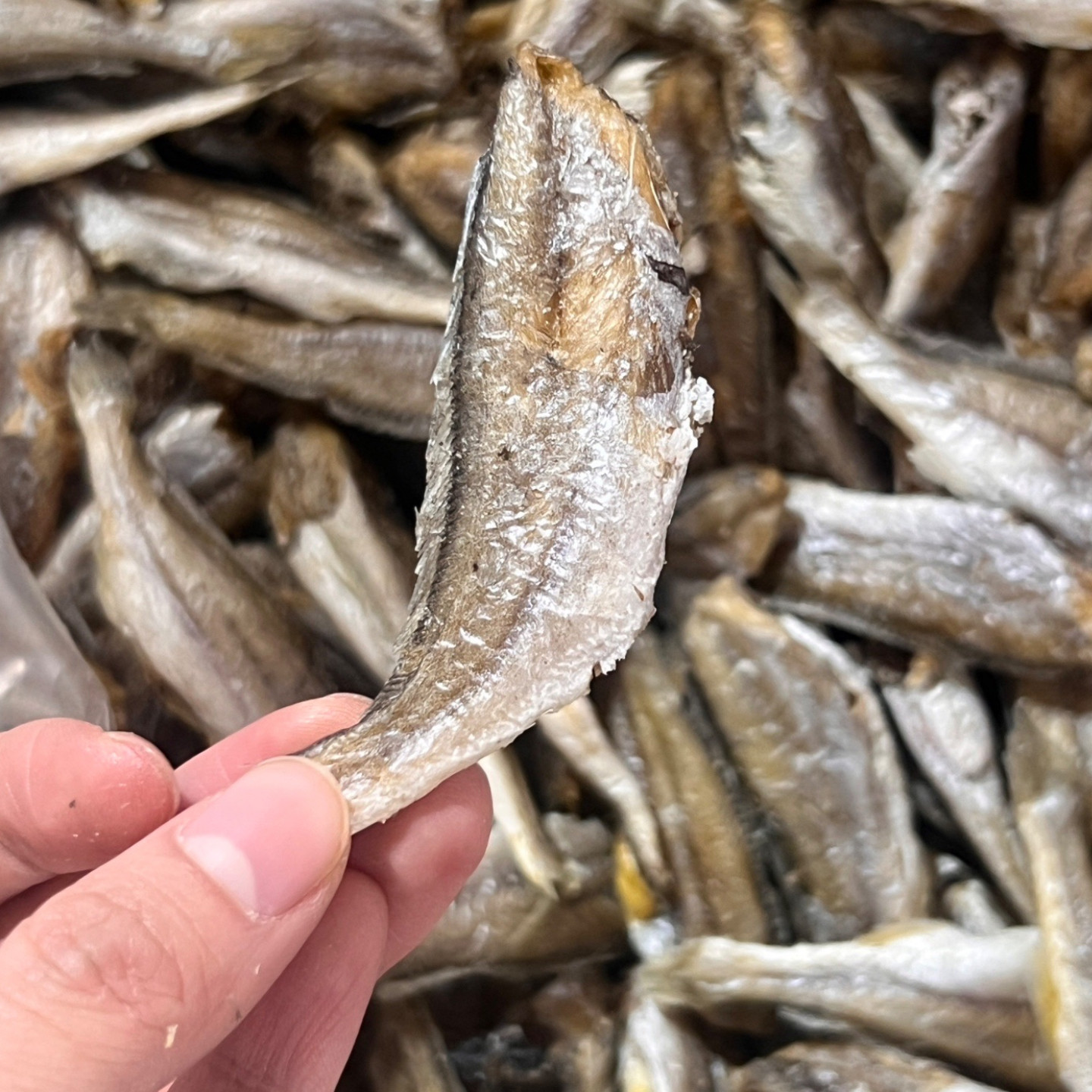 海鲜福黄鱼酥香脆小黄鱼宿舍小鱼干零食追剧解馋黄花鱼散装包邮