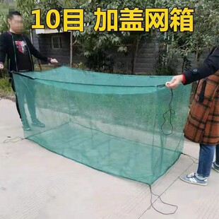 存鱼网箱水产养殖鱼苗黄鳝网箱养殖网育苗网箱小龙虾加膜防逃网箱