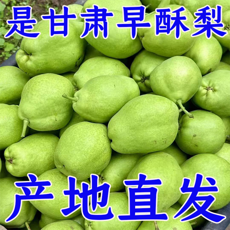 甘肃景泰早酥梨脆甜青皮梨当季新鲜水果薄皮多汁脆甜高山梨子批发