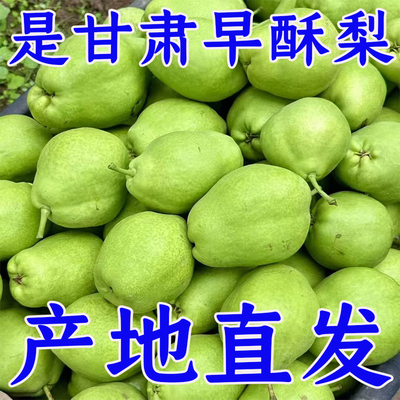 甘肃景泰早酥梨脆甜青皮梨