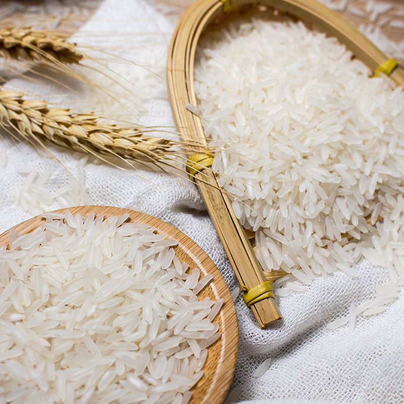 陕西汉中长粒香大米20斤新米细籼米家用蛋炒饭专用不粘稻香米10kg