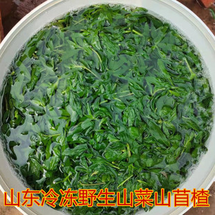 山东特产野菜山菜冷冻山苜楂蚂蚱菜山麻扎山麦杂山苜楂山麻楂三斤