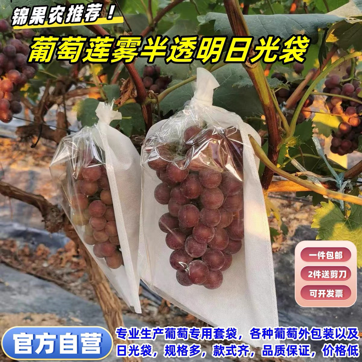 葡萄套袋专用纸袋阳光玫瑰半透明莲雾防鸟虫防水透气袋杨桃育果袋