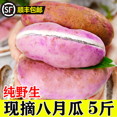 【顺丰发货】新鲜八月瓜鲜果8八月炸预知子九月黄木通果野生水果