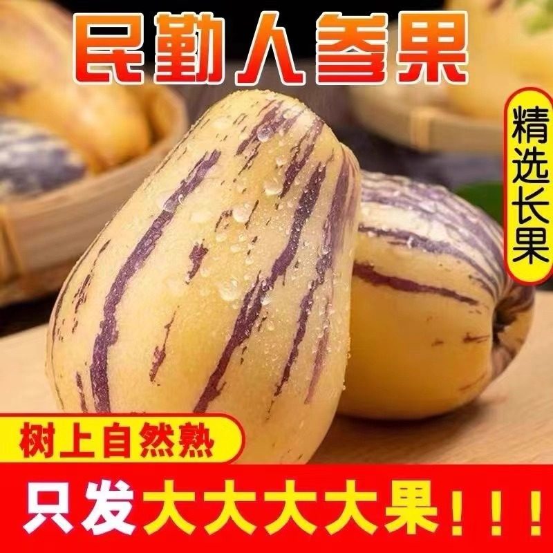甘肃民勤沙漠人参果黄肉长果一级特大果孕妇水果冬季水果5斤10斤,水产肉类/新鲜蔬果/熟食,人参果,淘宝优惠券,粉丝福利购,淘宝优惠卷