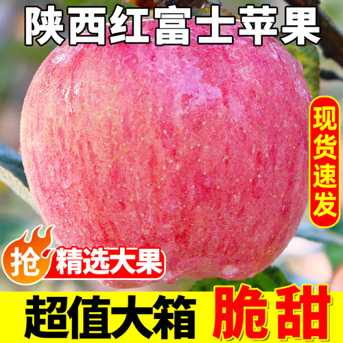 【爆卖10W+】5A红富士苹果脆