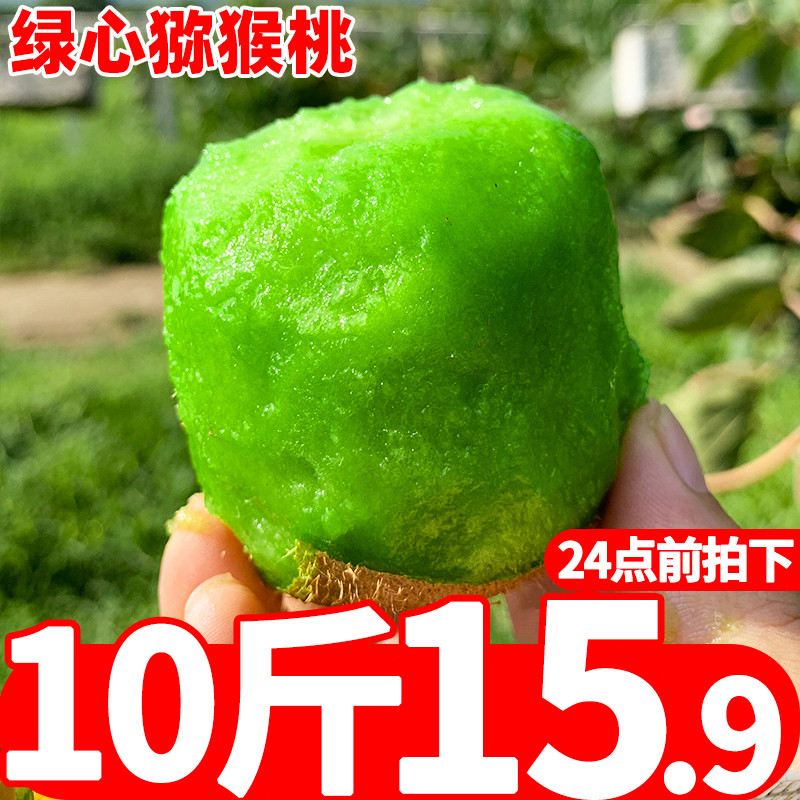 陕西周至绿心猕猴桃新鲜包邮10斤大果当季整箱水果孕妇时令奇异果