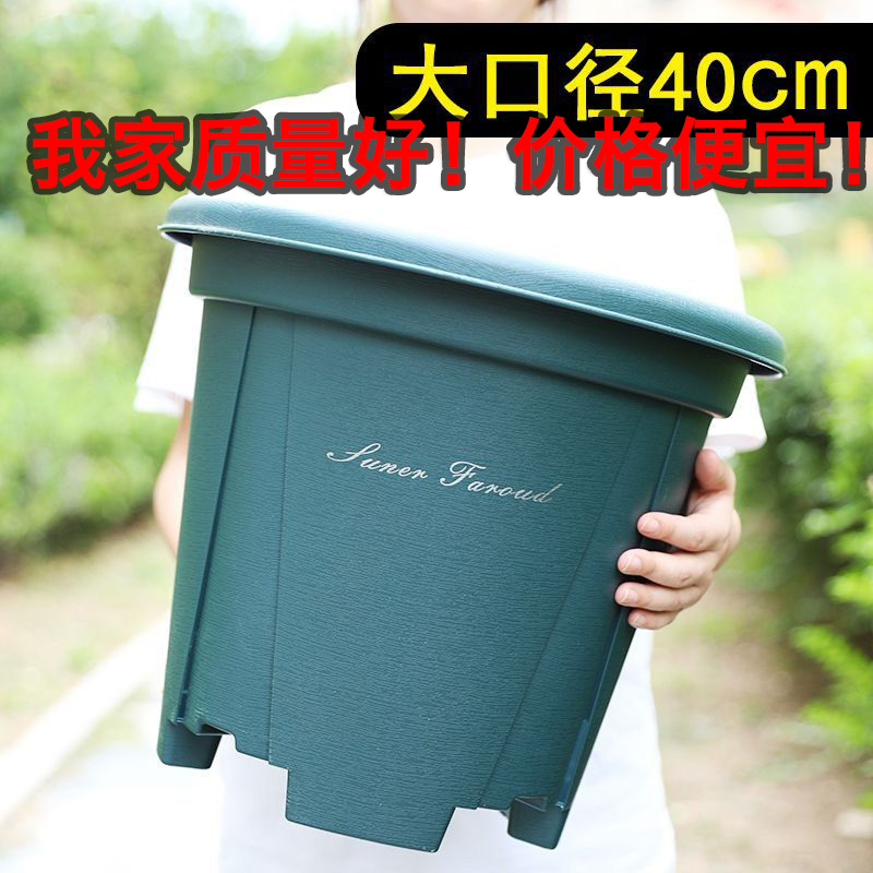 种树加大新款青山控根盆40cm